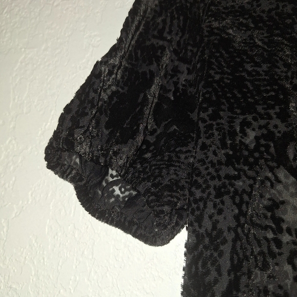 NWT Dear John Verona Spotted Velvet Sheer Top Size S Black Short Sleeve - Picture 6 of 13